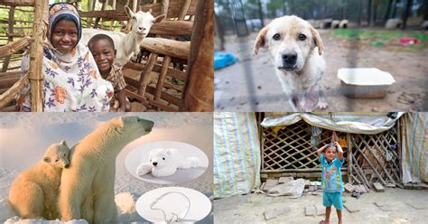 The 10 Best Charity Gifts for Loved Ones Christmas 2022 .